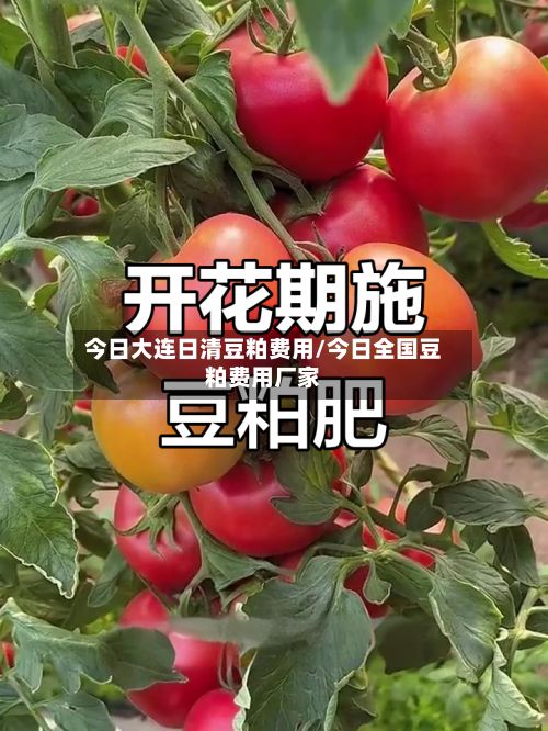 今日大连日清豆粕费用/今日全国豆粕费用厂家
