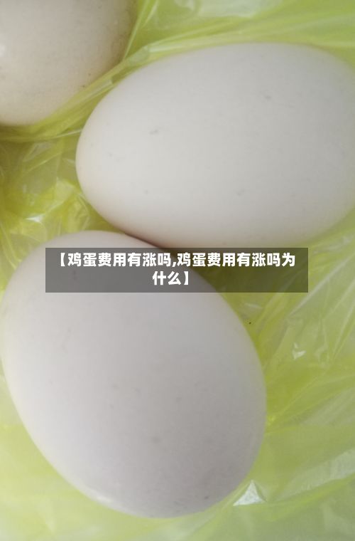 【鸡蛋费用有涨吗,鸡蛋费用有涨吗为什么】-第2张图片