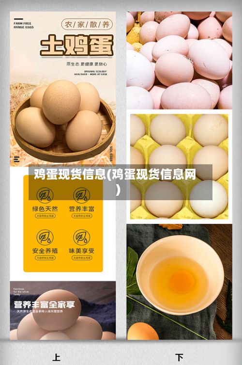 鸡蛋现货信息(鸡蛋现货信息网)-第3张图片