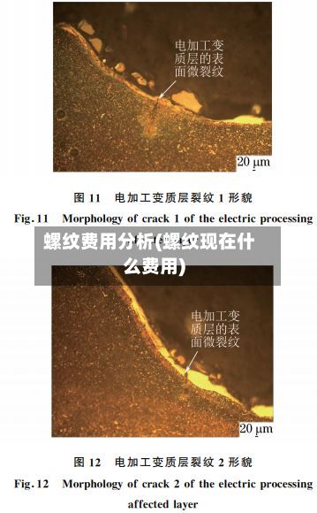 螺纹费用分析(螺纹现在什么费用)-第3张图片