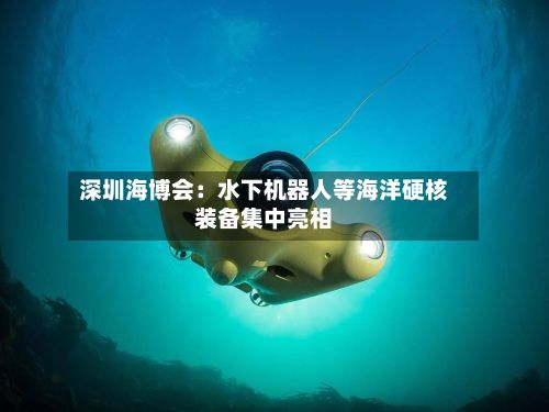 深圳海博会：水下机器人等海洋硬核装备集中亮相-第3张图片