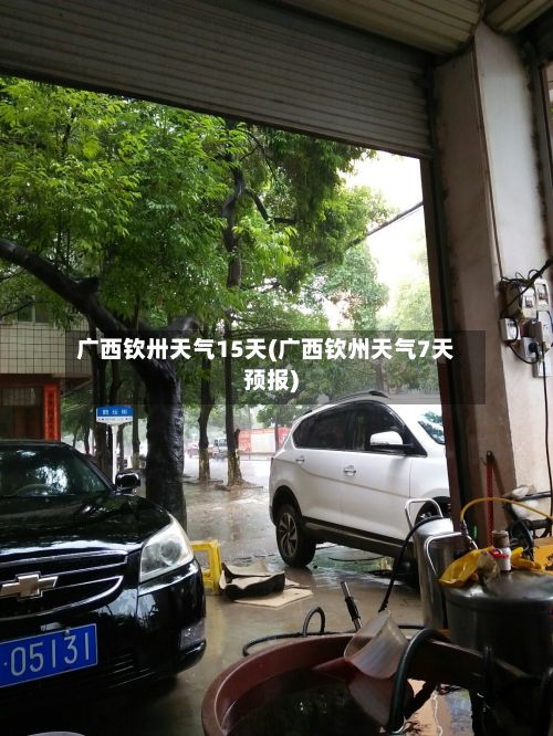 广西钦卅天气15天(广西钦州天气7天预报)