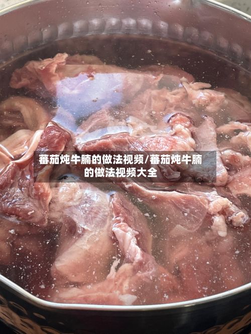 蕃茄炖牛腩的做法视频/蕃茄炖牛腩的做法视频大全-第3张图片