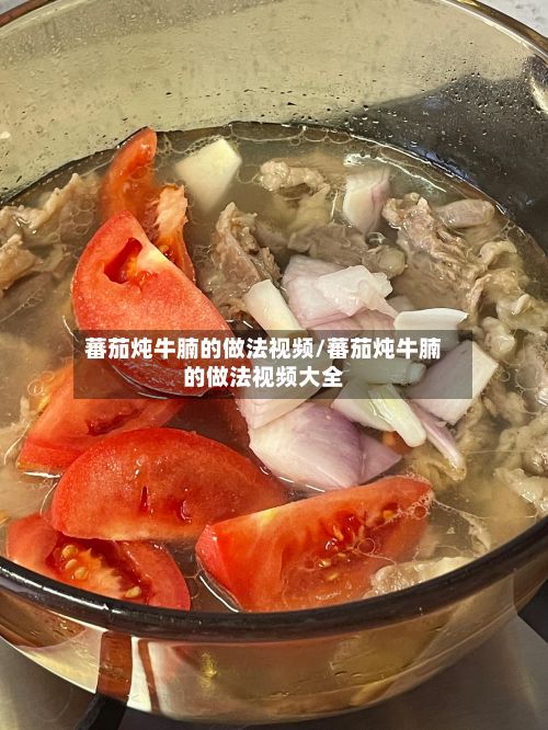 蕃茄炖牛腩的做法视频/蕃茄炖牛腩的做法视频大全-第2张图片
