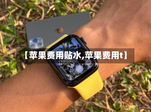 【苹果费用贴水,苹果费用t】