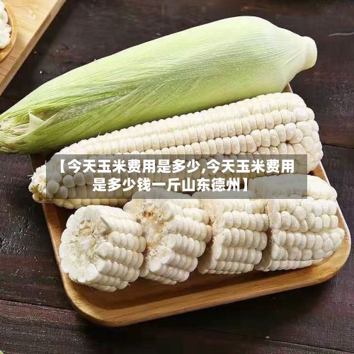【今天玉米费用是多少,今天玉米费用是多少钱一斤山东德州】-第3张图片
