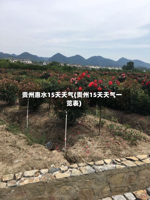贵州惠水15天天气(贵州15天天气一览表)-第2张图片