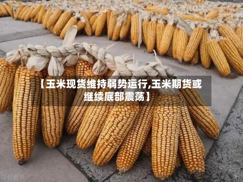 【玉米现货维持弱势运行,玉米期货或继续底部震荡】