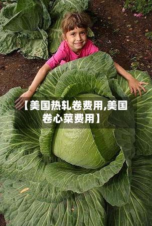 【美国热轧卷费用,美国卷心菜费用】-第2张图片