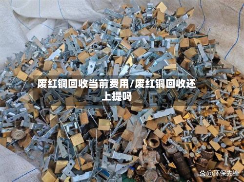 废红铜回收当前费用/废红铜回收还上提吗-第2张图片