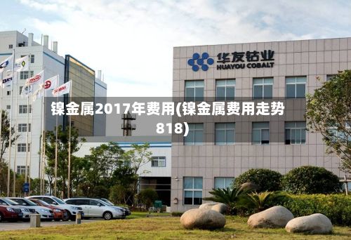镍金属2017年费用(镍金属费用走势818)