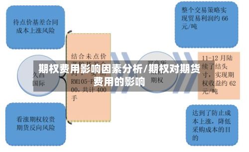 期权费用影响因素分析/期权对期货费用的影响