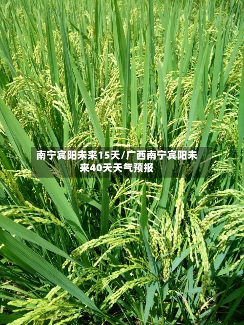 南宁宾阳未来15天/广西南宁宾阳未来40天天气预报-第2张图片