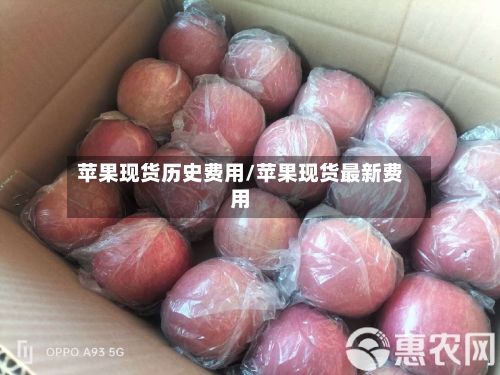 苹果现货历史费用/苹果现货最新费用