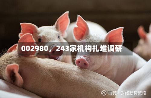 002980	，243家机构扎堆调研-第3张图片