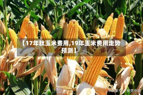 【17年秋玉米费用,19年玉米费用走势预测】