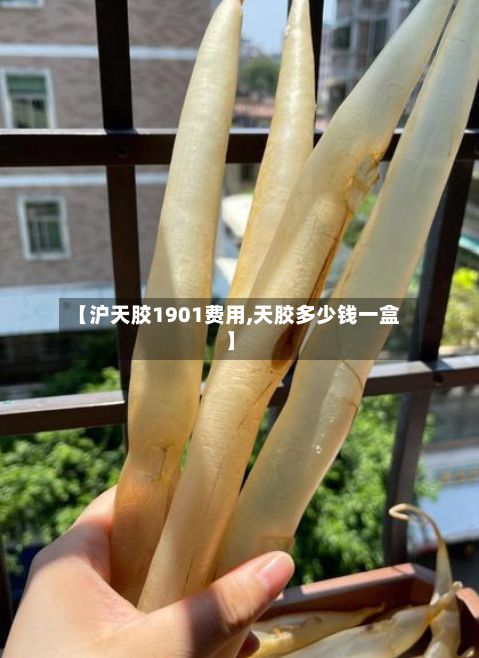 【沪天胶1901费用,天胶多少钱一盒】