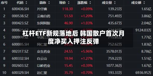 杠杆ETF新规落地后 韩国散户首次月度净买入押注反弹