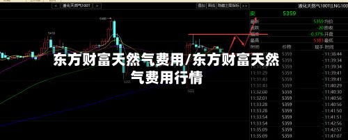东方财富天然气费用/东方财富天然气费用行情