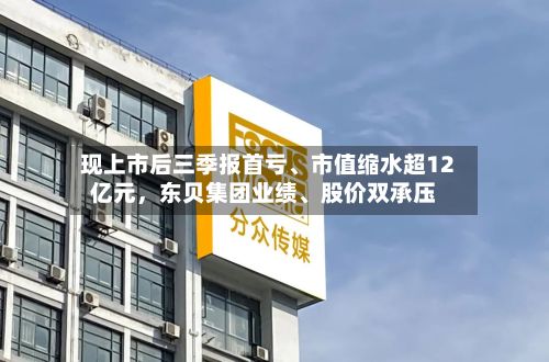 现上市后三季报首亏、市值缩水超12亿元，东贝集团业绩	、股价双承压-第2张图片