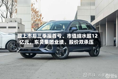 现上市后三季报首亏、市值缩水超12亿元	，东贝集团业绩、股价双承压-第3张图片
