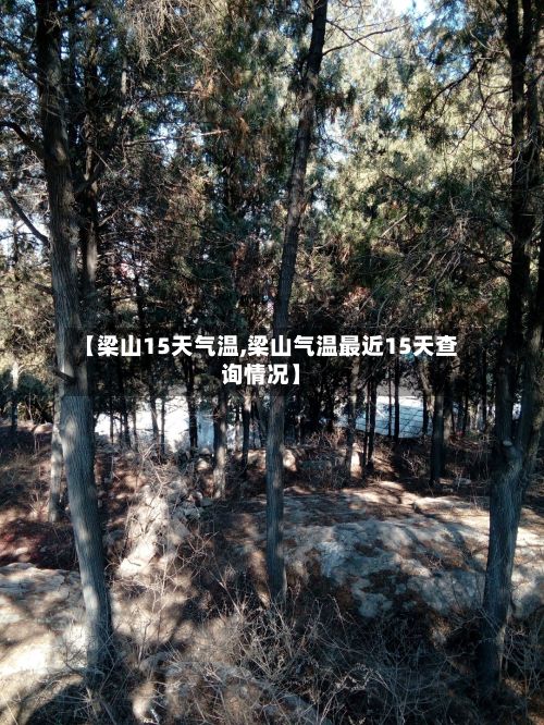 【梁山15天气温,梁山气温最近15天查询情况】-第2张图片