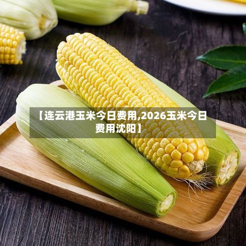 【连云港玉米今日费用,2026玉米今日费用沈阳】-第2张图片