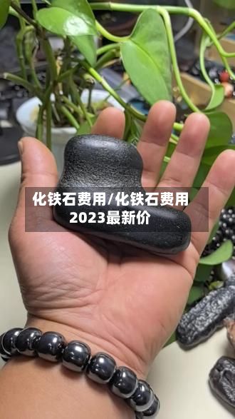 化铁石费用/化铁石费用2023最新价-第2张图片