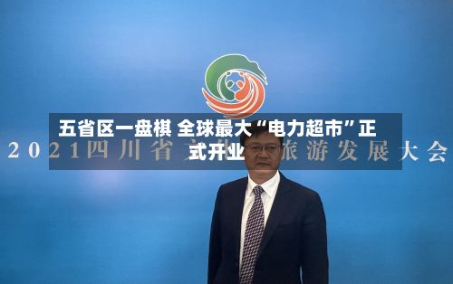 五省区一盘棋 全球最大“电力超市”正式开业