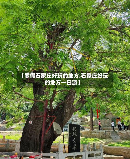 【寒假石家庄好玩的地方,石家庄好玩的地方一日游】