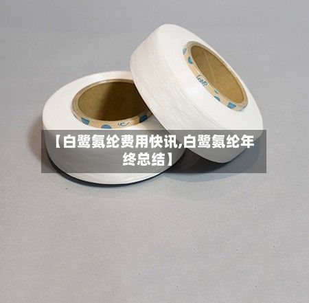 【白鹭氨纶费用快讯,白鹭氨纶年终总结】
