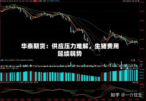 华泰期货：供应压力难解，生猪费用延续弱势-第1张图片