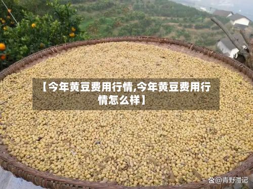 【今年黄豆费用行情,今年黄豆费用行情怎么样】