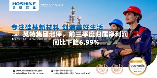 英特集团涨停	，前三季度归属净利润同比下降6.99%-第1张图片