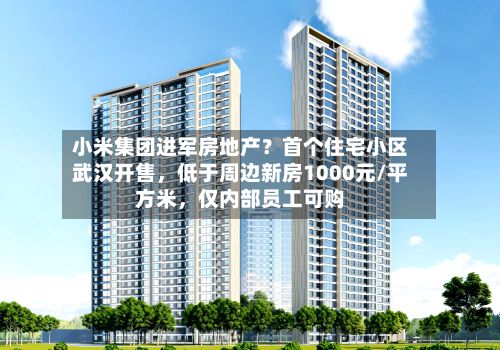 小米集团进军房地产？首个住宅小区武汉开售，低于周边新房1000元/平方米，仅内部员工可购