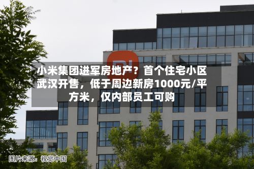 小米集团进军房地产？首个住宅小区武汉开售，低于周边新房1000元/平方米	，仅内部员工可购-第2张图片