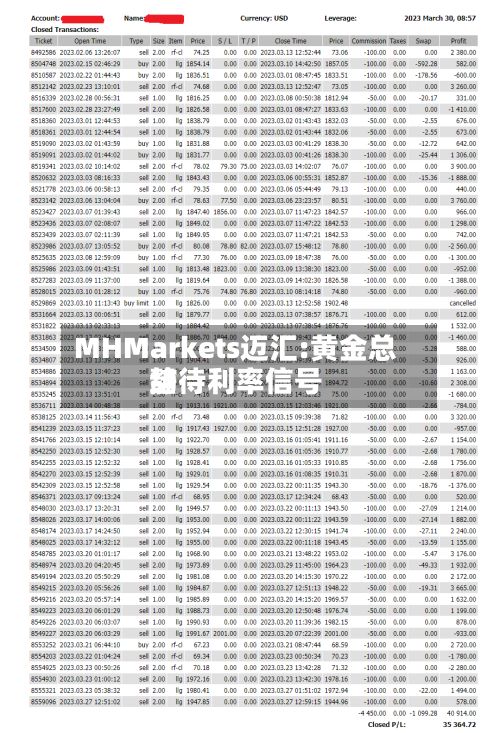 MHMarkets迈汇:黄金总结
静待利率信号-第2张图片