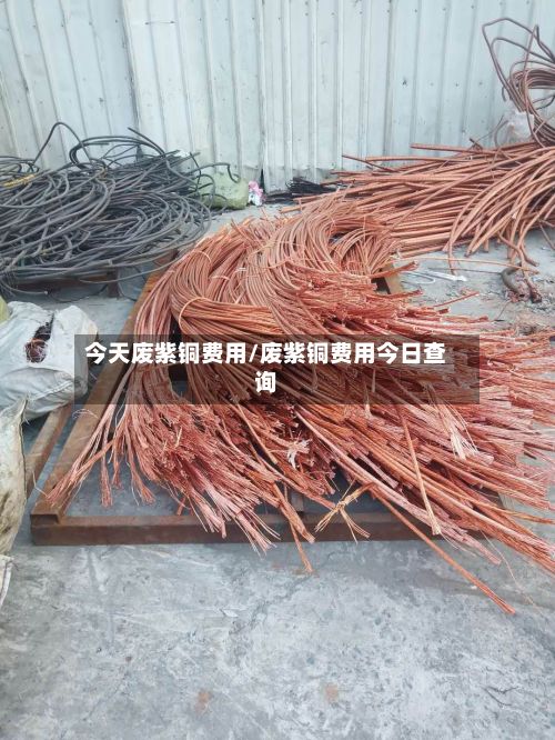 今天废紫铜费用/废紫铜费用今日查询-第2张图片