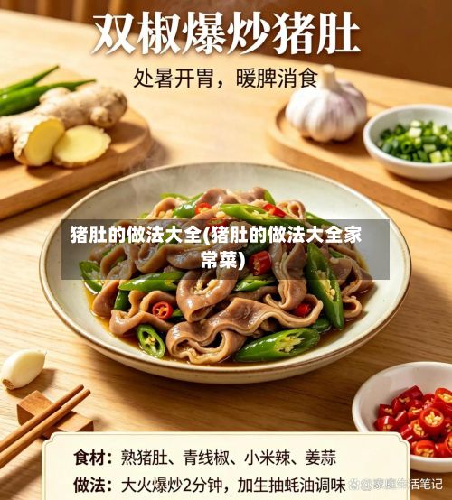 猪肚的做法大全(猪肚的做法大全家常菜)