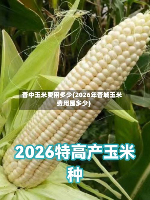 晋中玉米费用多少(2026年晋城玉米费用是多少)-第2张图片