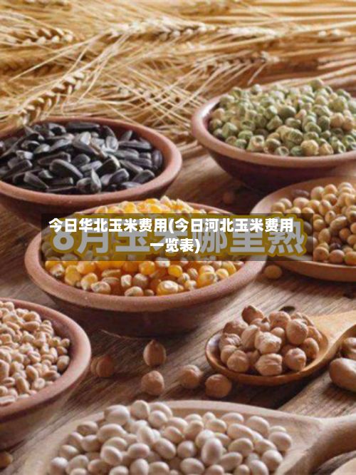 今日华北玉米费用(今日河北玉米费用一览表)-第2张图片