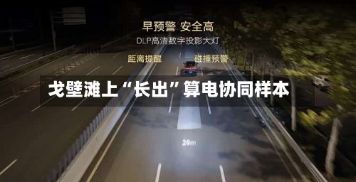 戈壁滩上“长出	”算电协同样本-第3张图片