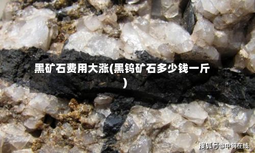 黑矿石费用大涨(黑钨矿石多少钱一斤)