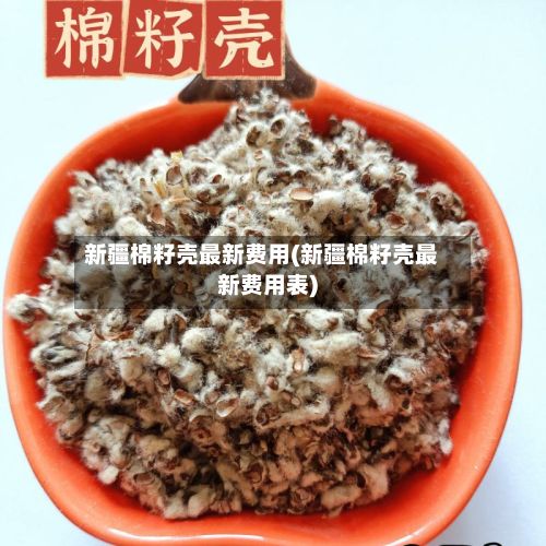 新疆棉籽壳最新费用(新疆棉籽壳最新费用表)-第2张图片