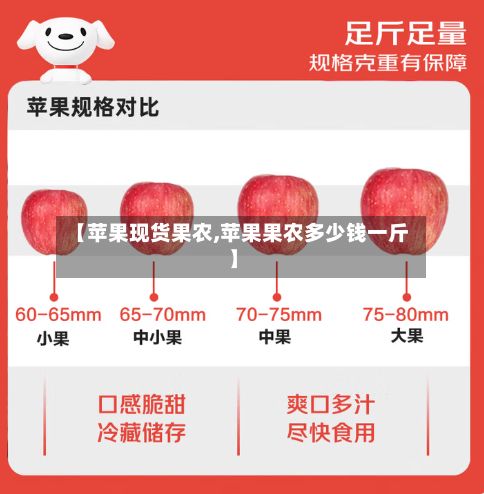 【苹果现货果农,苹果果农多少钱一斤】-第3张图片