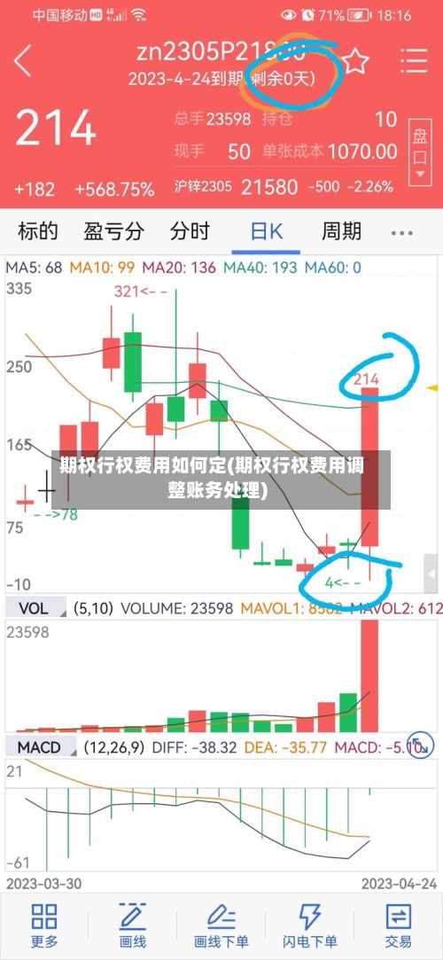 期权行权费用如何定(期权行权费用调整账务处理)-第2张图片