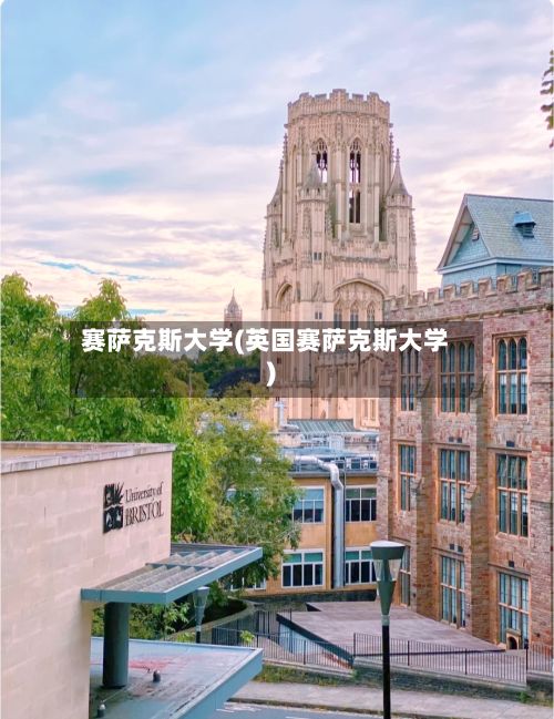 赛萨克斯大学(英国赛萨克斯大学)