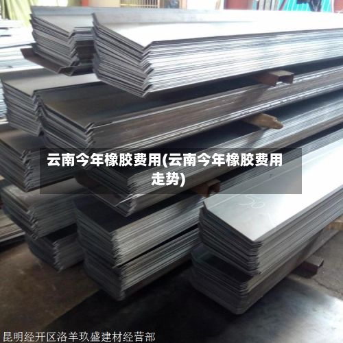云南今年橡胶费用(云南今年橡胶费用走势)-第2张图片