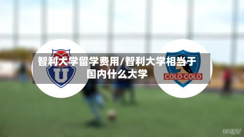 智利大学留学费用/智利大学相当于国内什么大学