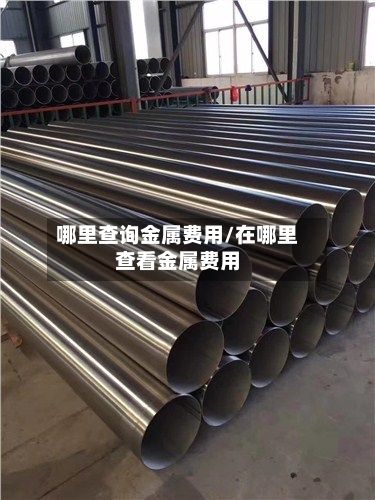 哪里查询金属费用/在哪里查看金属费用